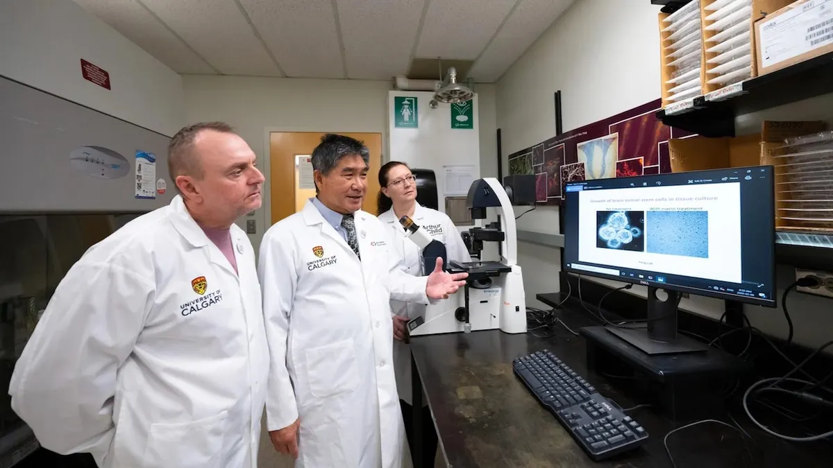 Common vitamin may slow glioblastoma progression in patients, early study finds Common vitamin may slow glioblastoma progression in patients, early study finds