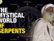 The Secrets of 12 Mystical Serpents: Sadhguru Reveals