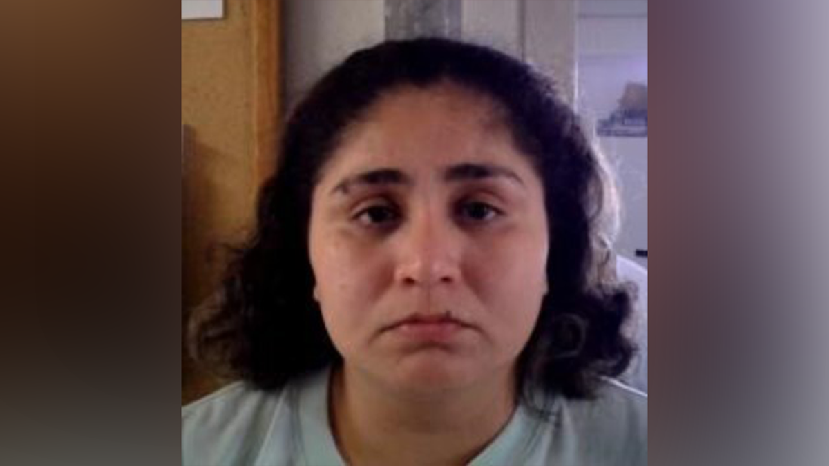 US Border Patrol arrests 2 Mexican fugitives with warrants in California