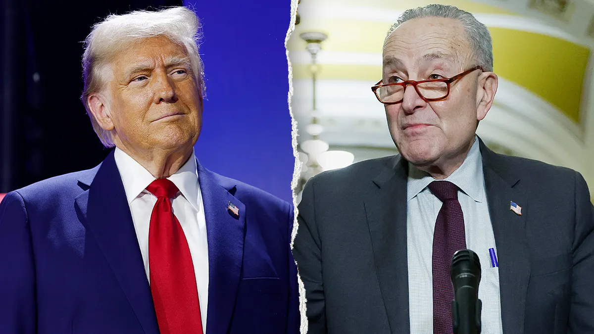 Schumer calls Trump’s plan to deploy ICE agents to US airports ‘impulsive’ Schumer calls Trump’s plan to deploy ICE agents to US airports ‘impulsive’