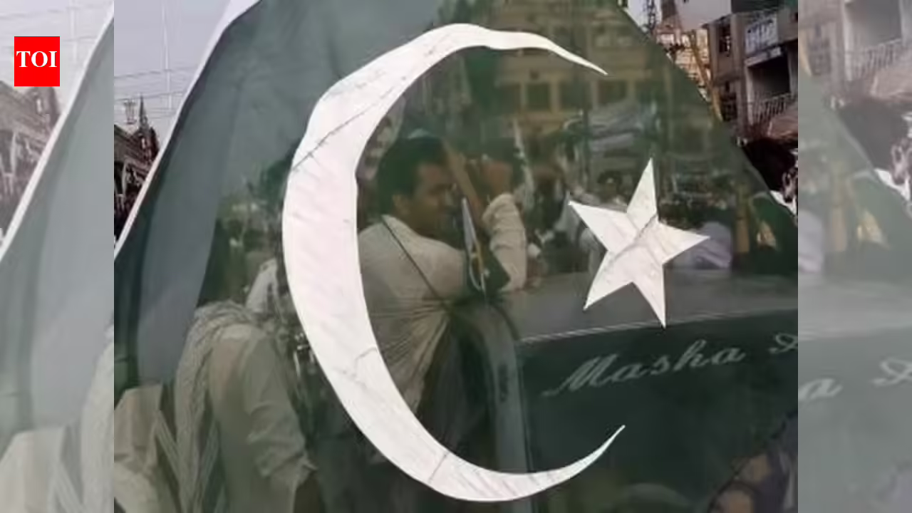 Pakistan External Repayments: Pakistan lines up .8 billion in external repayments by June, including .5 billion owed to UAE: Report