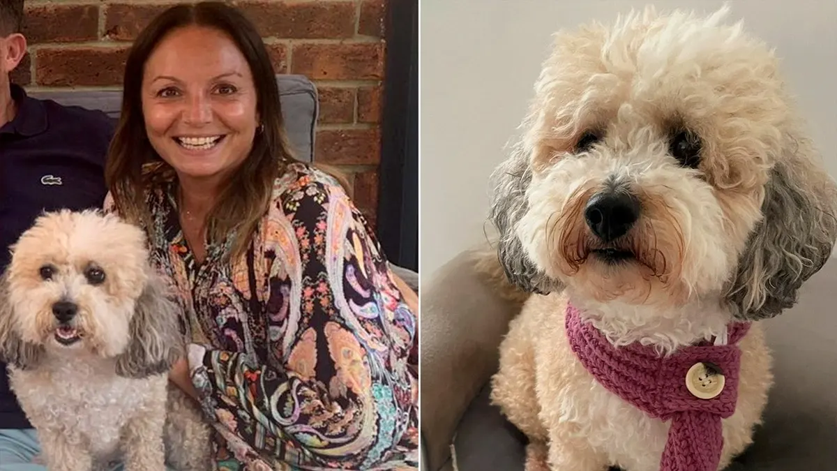 Woman’s dog diagnosed with breast cancer years after her own battle