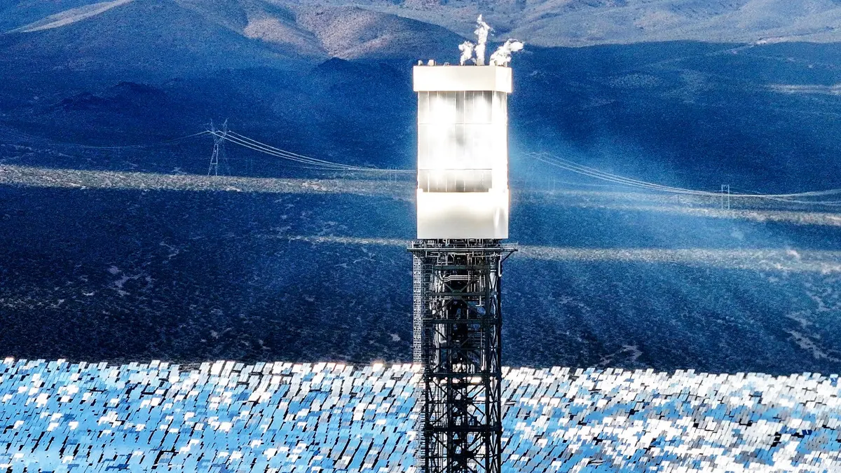 Ivanpah solar plant kills thousands of birds with no fines issued