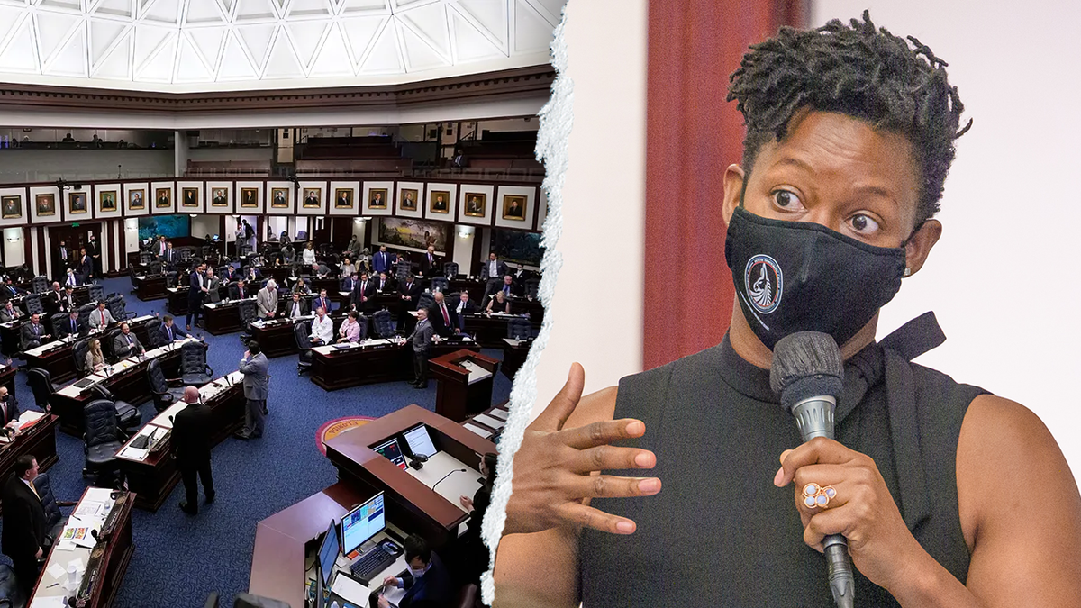 Florida congressional map that could flip 4 seats approved by DeSantis