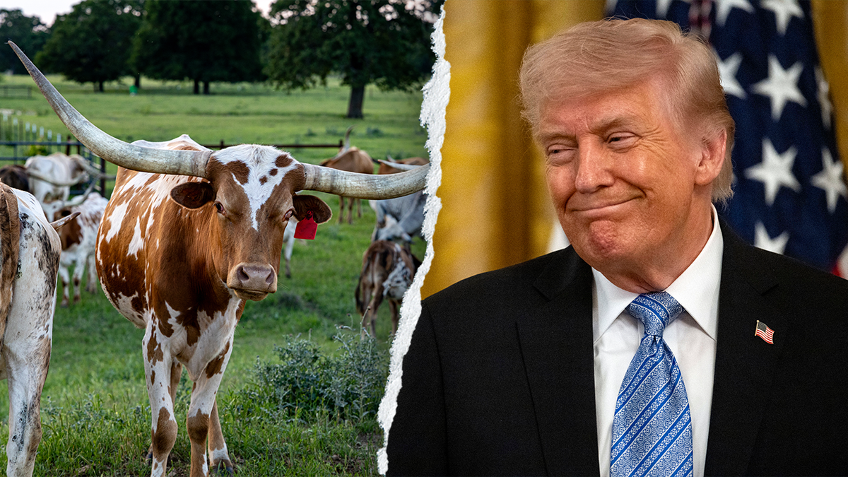 Trump says Texas Democrat ‘can’t get elected as a vegan’ in Senate race