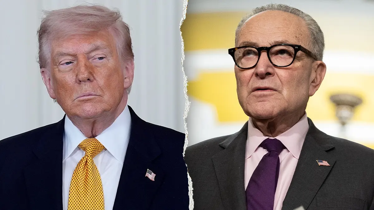 Trump accuses Chuck Schumer’s new elections task force of voter suppression